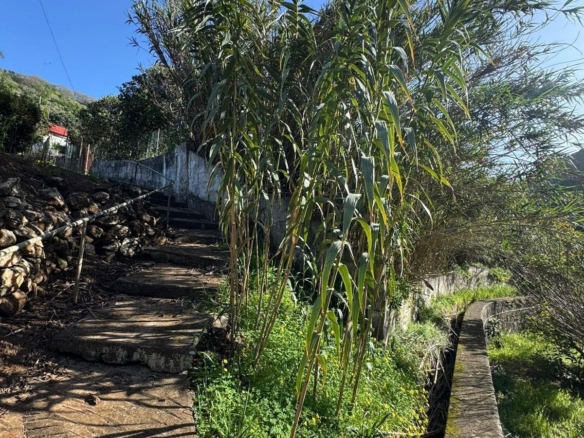 Se vende casa a reformar con parcela de 1.912 m² en Firgas.